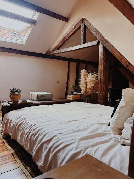 Romantic Unesco Medieval House In The City Center Ghent Luaran gambar